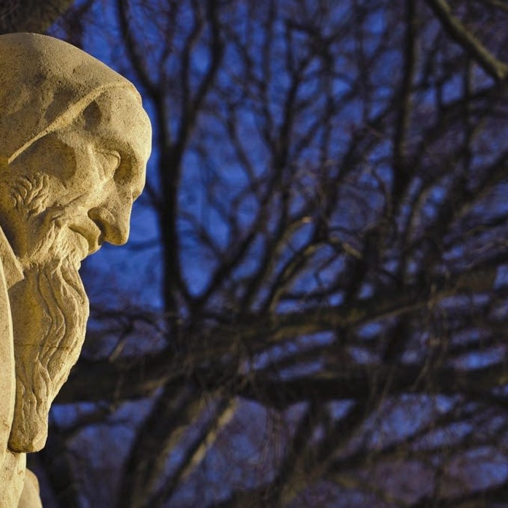 Estatua de Juan Calvino, Muro de la Reforma, Ginebra.  
Foto de Fabrice Coffrini